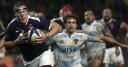 Rugby – Le XV de France se prépare à faire face à l’Argentine